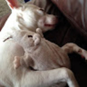 Meet your Posher, Hye soo